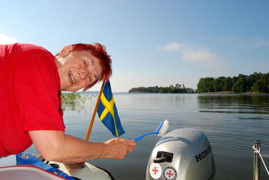 in der Nacht hatten sich viele Insekten auf allen möglichen Flächen niedergeschlagen