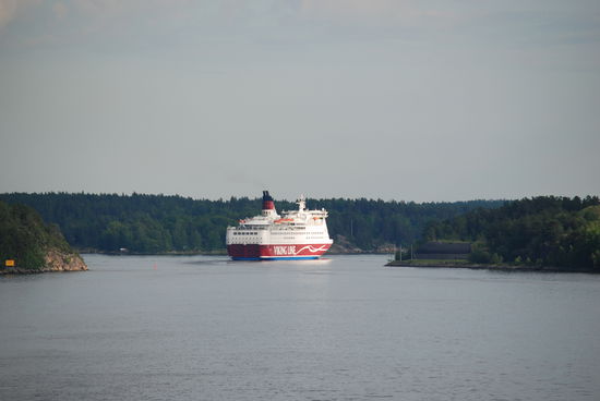 Amorella in der Oxdjupet