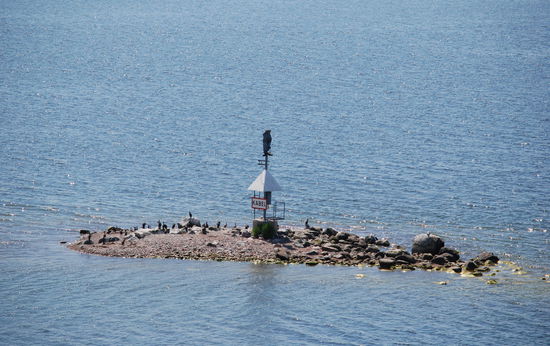 Växelgrund mit Kormoranen