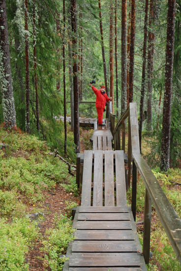 Abstieg über Bohlenwege