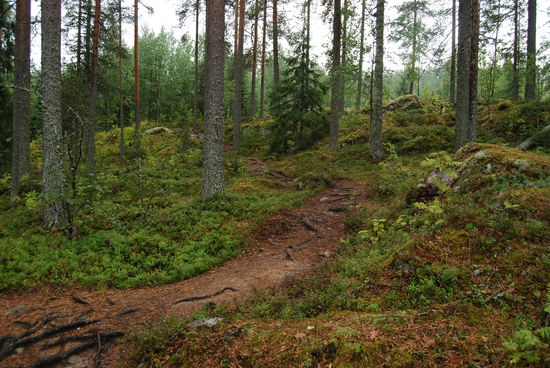 zurück zum Parkplatz