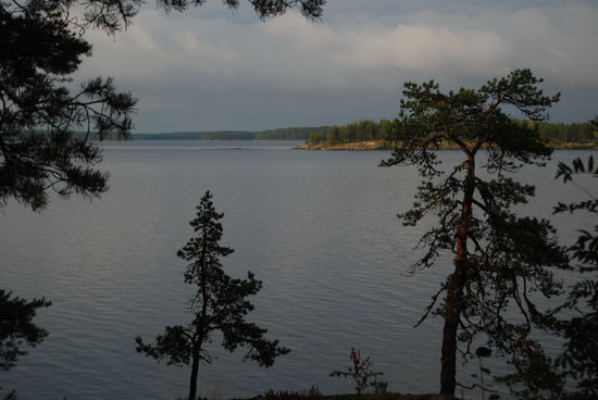 am Ufer des Pielinen