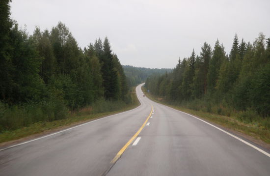 Fahrt durch endlose Wälder