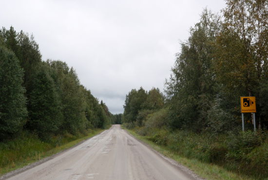 der Weg Richtung Oulanka Nationalpark, ob es hier wirklich Geschwindigkeitskameras gibt?