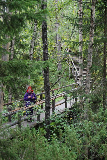 jetzt gab es viele Bohlenwege und Treppen