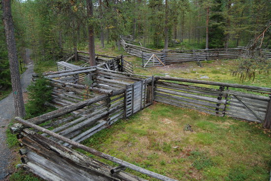 Anlage zur Rentierscheidung
