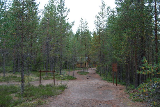 vor der Grillhütte führen die beiden Wanderwege wieder zusammen