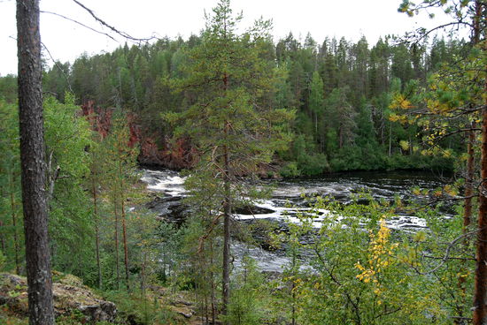 die Schlucht Kiutaköngäs kommt in Sicht
