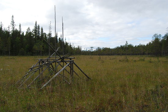 Heuharfe in den Heuwiesen