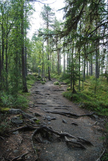 über Stock und Stein