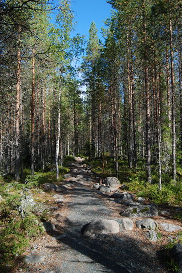 der Wanderweg führte leicht bergauf, fast autobahnähnlich ausgebaut
