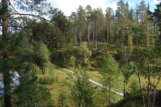 weiter geht es auf und ab