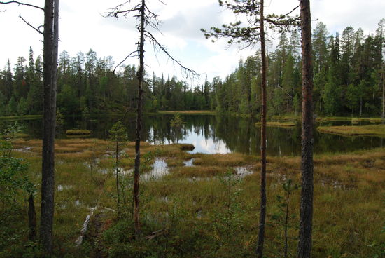 an vielen kleinen Seen vorbei