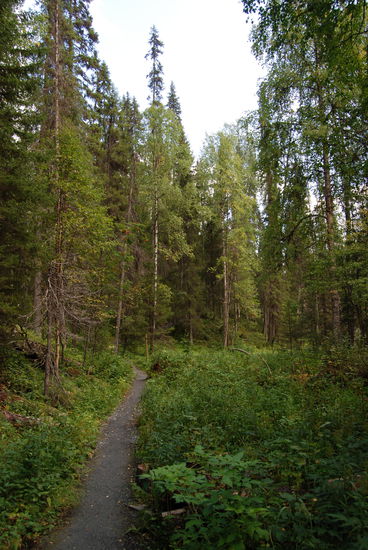 weiter ging der Weg tief im Tal