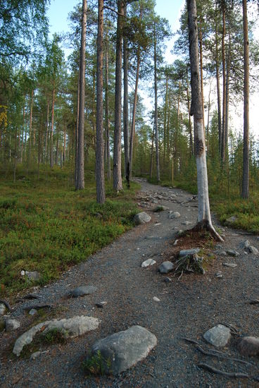 schließlich ging es wieder bergauf