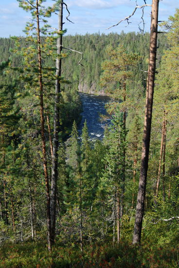von oben gab es immer wieder schöne Ausblicke auf den Kitkajoki