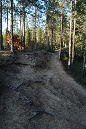 Sandlandschaft kurz vor Myllykoski
