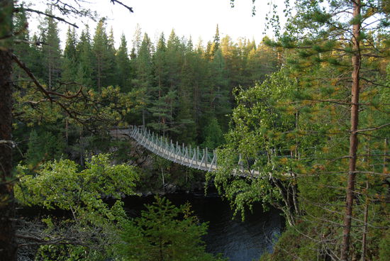 zur Hängebrücke Niskakoski