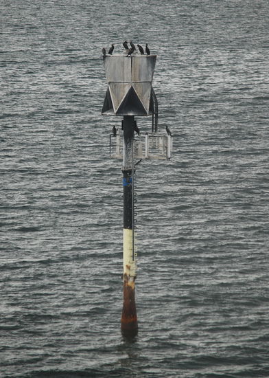 Seezeichen mit Kormoranen