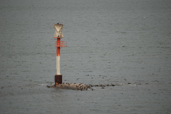 Seezeichen und Vogellandeplatz