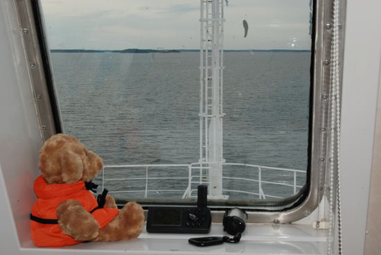 Sjöbjörn auf Ausguck