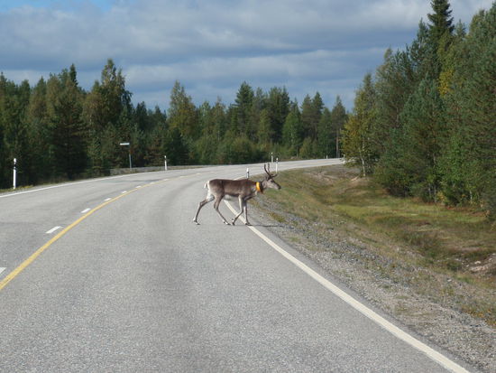 oder auf der Straße