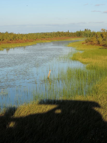 Selbstbildnis am Fluß