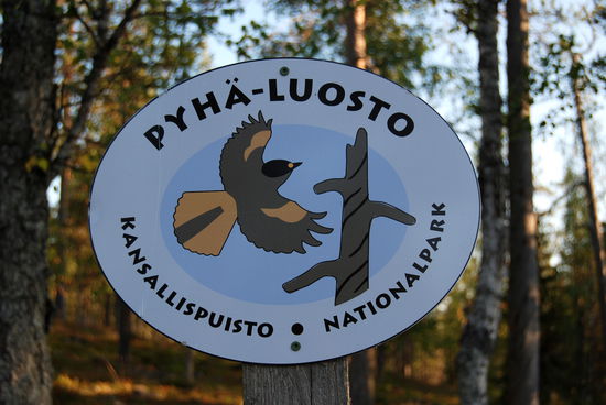 im Nationalpark Pyhä-Luosto
