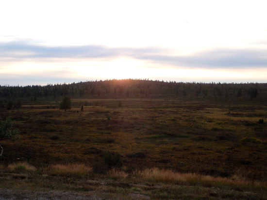 hier ging es auch über Hochmoore