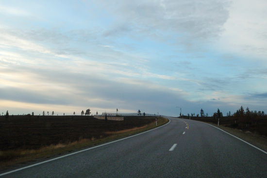 mit Schneeschutzzäunen