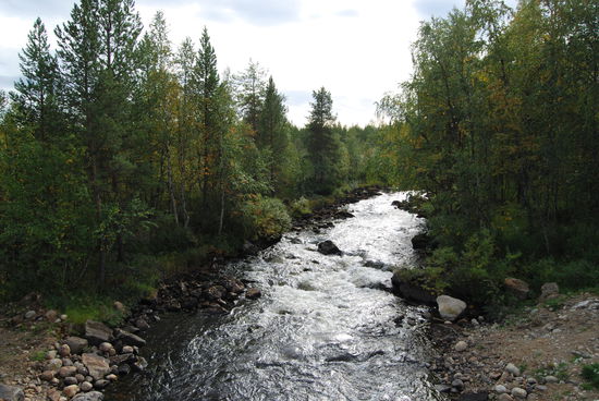 immer wieder Wasserläufe
