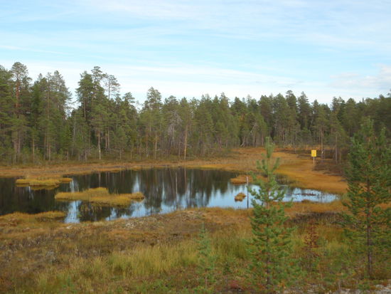 gelbe Markierungen zeigen das Sperrgebiet im Gelände