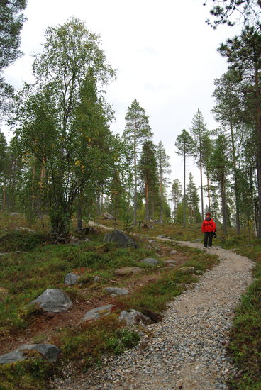Aufstieg zur Flößerrinne