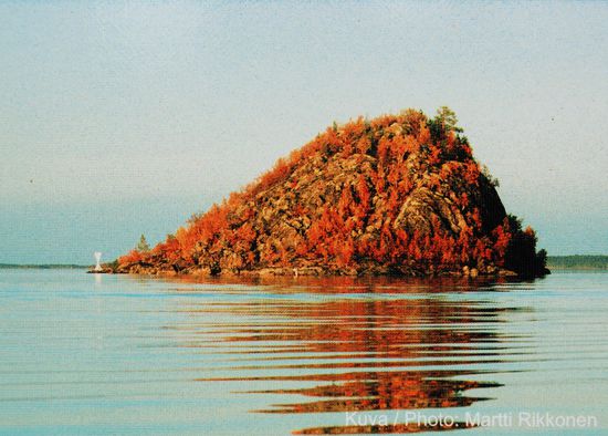 Ukonkivi, ("Ukkos sten") auf der Insel Ukko, Ukonsaari 
dieses Bild der Insel in der Herbstfärbung auf einer Informationstafel hat uns neugierig gemacht