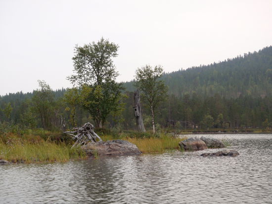 Eulenkasten auf einer der umpaddelten Inseln