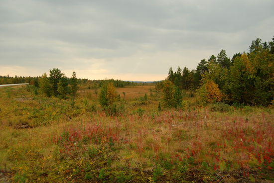 je weiter wir nach Norden kamen, um so bunter wurde die Landschaft