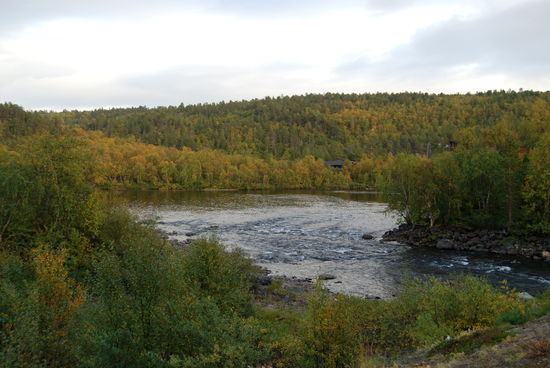 der Utsjoki am Parkplatz des Kevo-Naturreservats