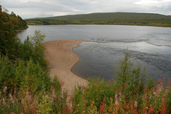 weiter geht die Fahrt am Utsjoki in Richtung Norden