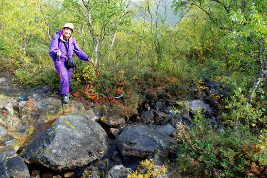 ein Bach querte den Weg