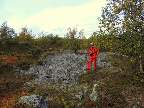 die Steininseln entstehen durch den ständigen Wechsel von Gefrieren und Auftauen des Moränenbodens