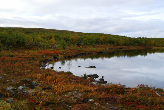 herrliche Uferfärbung