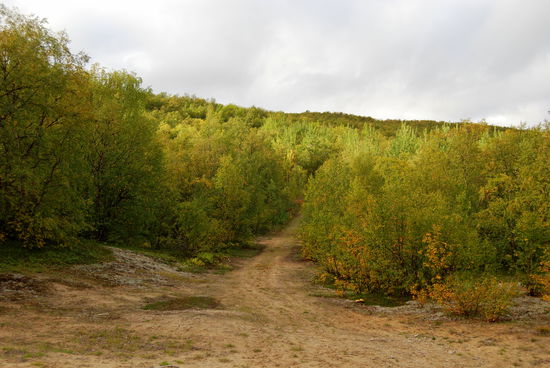 durch die Dünenlandschaft ging es zurück zum Auto