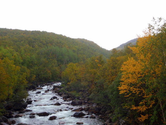 kleine Bäche queren den Weg