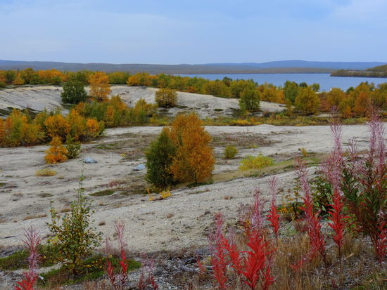Dünenlandschaft als Rest der Eiszeit