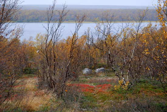weiter geht's, Ruska in der Finnmark