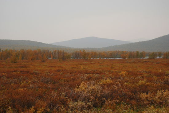 je weiter wir nach Norden kamen, um so diesiger wurde es, trotzdem reizvoll