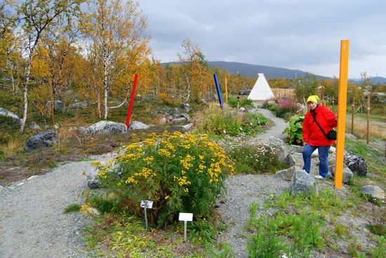der kleine botanische Garten