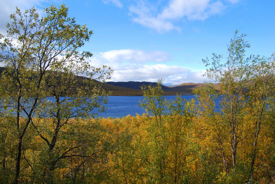 Blick zurück zum See Kilpisjärvi