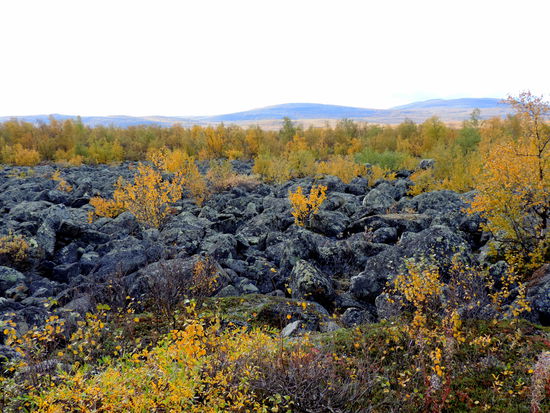 auch hier gab es wieder die Geröllfelder