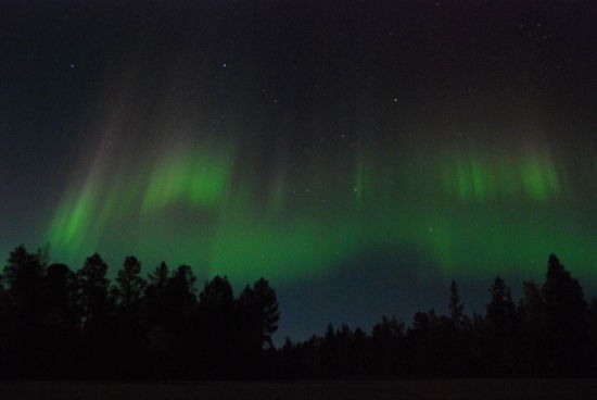 der krönende Abschluß des Tages: Norrsken - Nordlicht